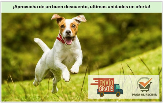 MASAJEADOR MICROCORRIENTE 5 VELOCIDADES